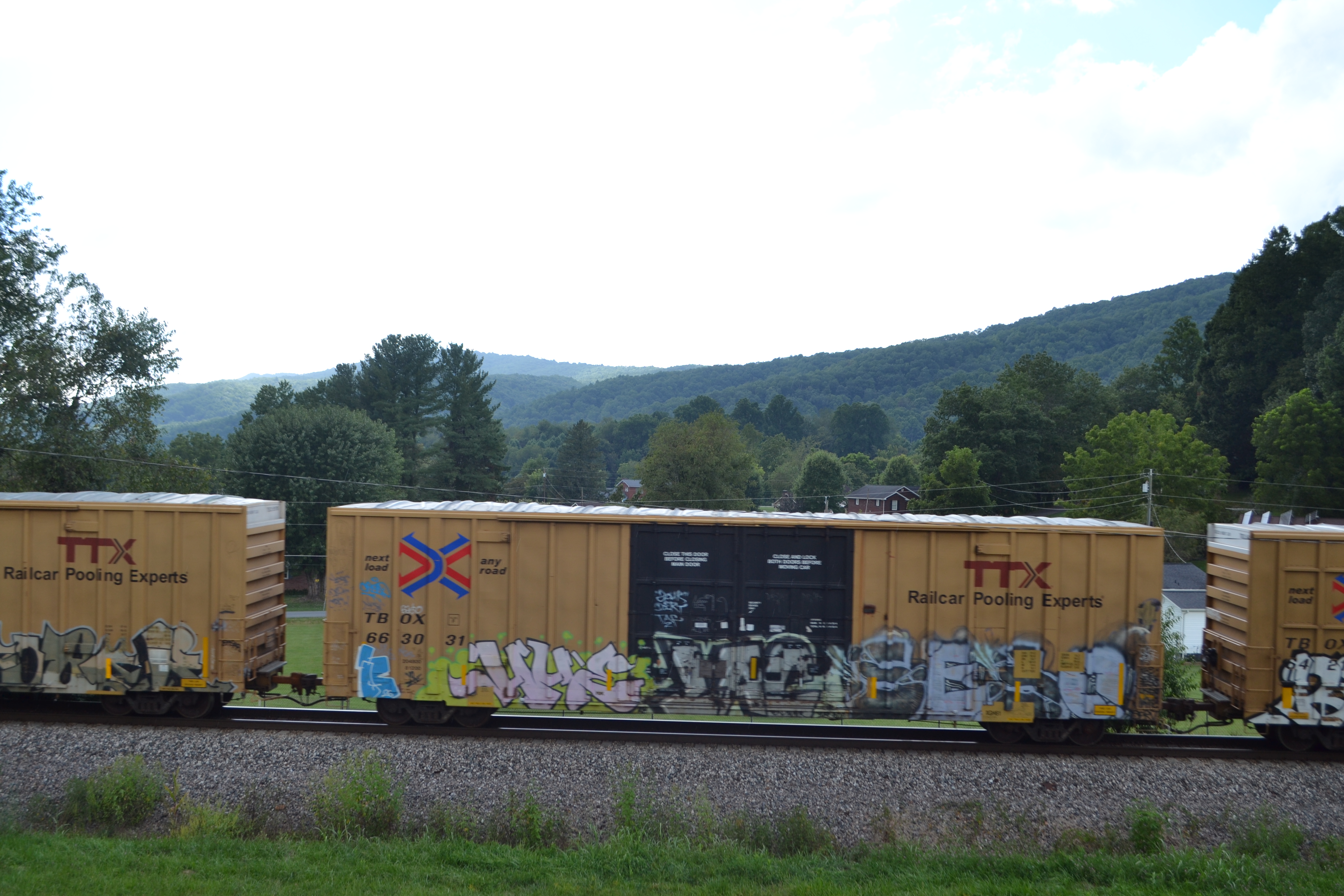 TBOX 663031